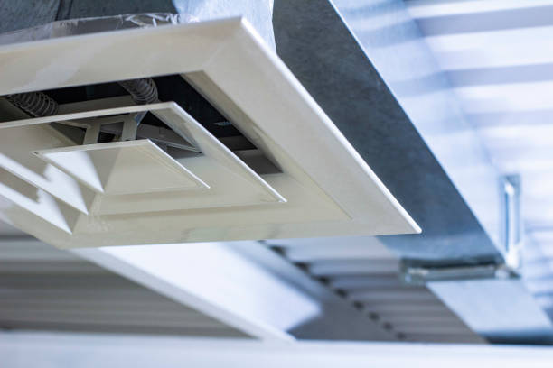 Best Local Air Duct Cleaning Services  in Sheldon, IL