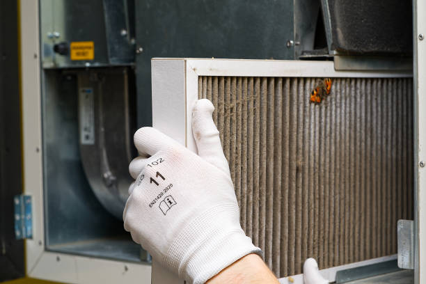Best Commercial Air Duct Cleaning  in Sheldon, IL