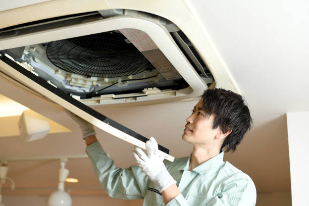 Best Air Vent Cleaning Services  in Sheldon, IL