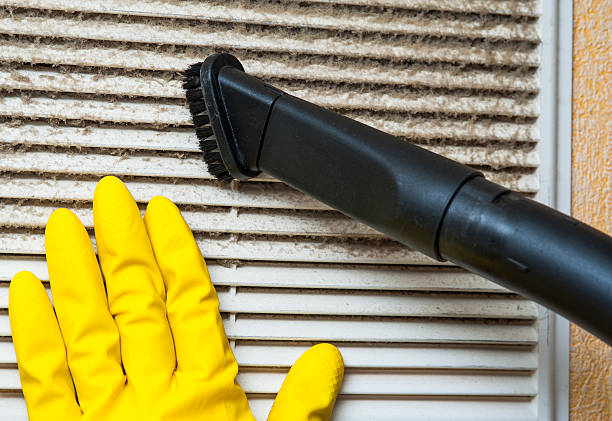 Best Ductwork Cleaning Services  in Sheldon, IL