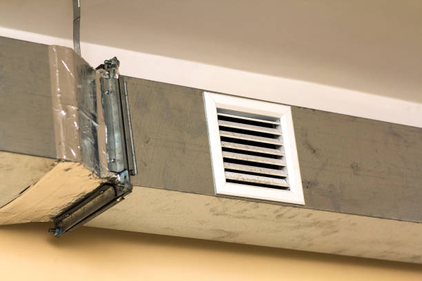 Best Duct Cleaning Specialists  in Sheldon, IL