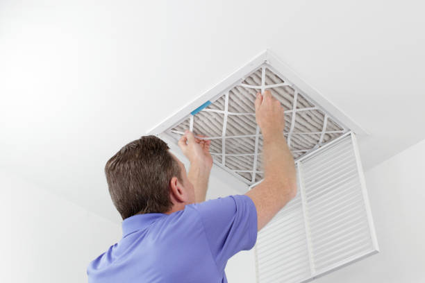 Best Air Duct Cleaning Near Me  in Sheldon, IL